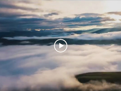 2025年国际生物多样性日主题宣传片